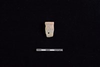 藏品(陶片)的圖片